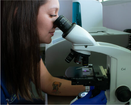 Laboratorio-100 Laboratorio-100