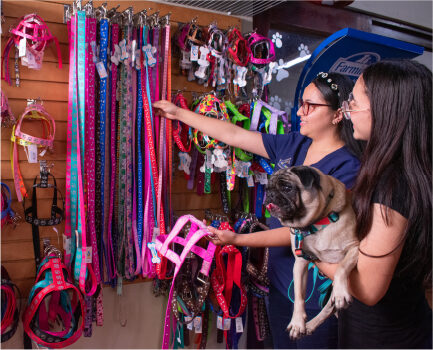 Tienda-100 Tienda-100