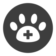 consultas_especializadas consultas_especializadas